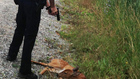 Family upset after police officer shoots injured deer