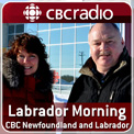 Labrador Morning
