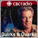 Quirks & Quarks